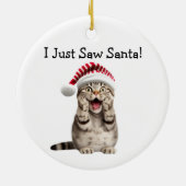 Naughty Kat Christmas Fun Cat Ornament (Achterkant)