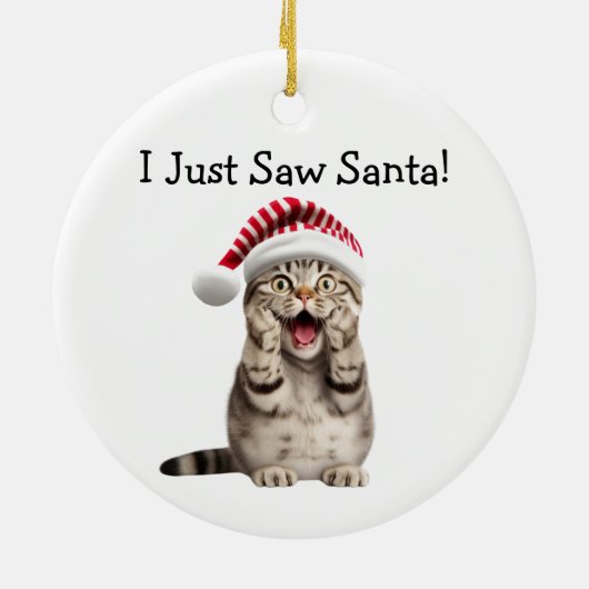Naughty Kat Christmas Fun Cat Ornament (Achterkant)