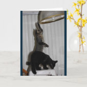 Naughty Kat Verjaardag Kaart (Gele Bloem)