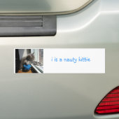 Naughty Kitten Bumpersticker (Op auto)