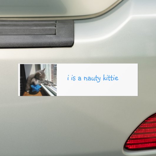 Naughty Kitten Bumpersticker (Op auto)