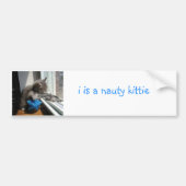 Naughty Kitten Bumpersticker (Voorkant)