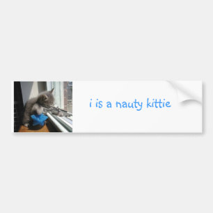 Naughty Kitten Bumpersticker