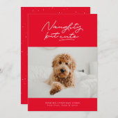 Naughty, maar leuk, grappige fotokaart feestdagenkaart (Voorkant / Achterkant)