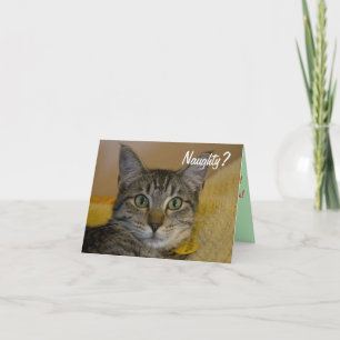 Naughty of Nice Cat Card Feestdagen Kaart