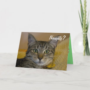 Naughty of Nice Cat Card Feestdagen Kaart