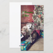 Naughty of Nice Feestdagenkaart (Voorkant / Achterkant)