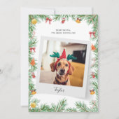Naughty of Nice Funny Pet Dog Aangepaste Kerstmis Feestdagenkaart (Voorkant)