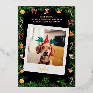 Naughty of Nice Funny Pet Dog Aangepaste Kerstmis Folie Feestdagenkaart