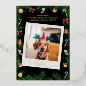 Naughty of Nice Funny Pet Dog Aangepaste Kerstmis Folie Feestdagenkaart (Voorkant)