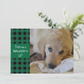 Naughty of Nice Green Play PRETTIGE FEESTDAGEN Feestdagenkaart (Staand voorkant)