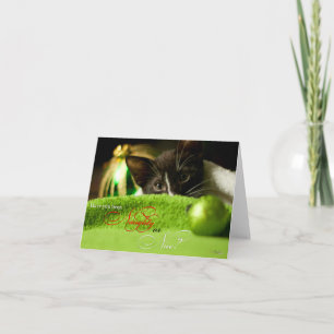 Naughty of Nice Kitten Holiday Kaart