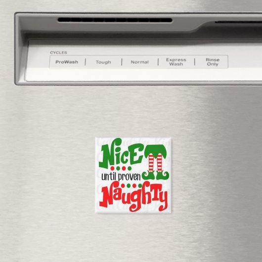 ***NAUGHTY OF NICE *** MAGNET (Insitu (Vaatwasser))
