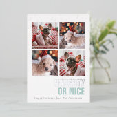 Naughty of Nice Pet 4 Foto's Folie Holiday Kaart (Staand Voorkant)