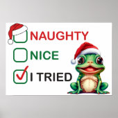 Naughty of Nice Poster (Voorkant)