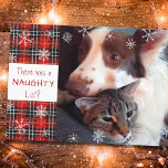 Naughty of Nice Snowflake Red Pset Your Greeting Feestdagenkaart<br><div class="desc">Een grappige kerstcadeaukaart met een afbeelding van je miserige hond, kat of ander huisdier, het humoristische gezegde DAT ER EEN NAUGHTY LIST WAS? en een rood vleid en sneeuwvlokken op de voorkant en je eigen feestelijke groet en namen op de achterkant (de steekproef suggereert PRETTIGE FEESTDAGEN). Fun voor gezelschapsmoeders en...</div>