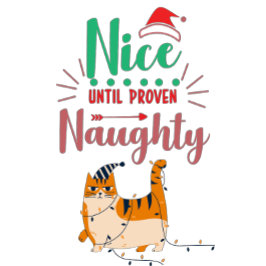 Naughty or Nice Feestdagenkaart