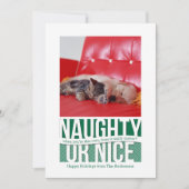 Naughty or Nice Funny Christmas Pet Kaart (Voorkant)