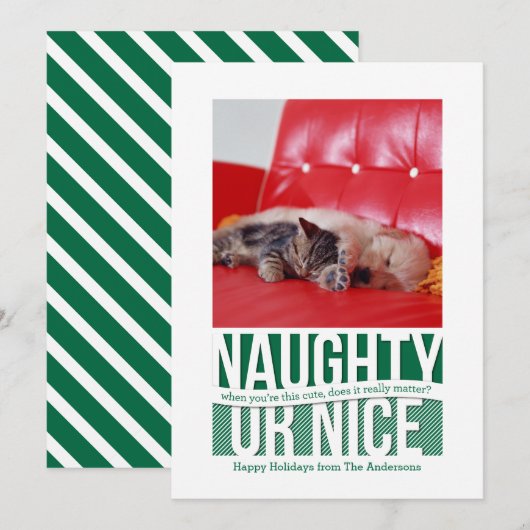 Naughty or Nice Funny Christmas Pet Kaart (Voorkant / Achterkant)
