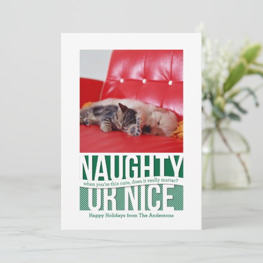 Naughty or Nice Funny Christmas Pet Kaart (Staand voorkant)