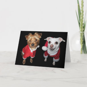 Naughty or Nice Pups Feestdagen Kaart