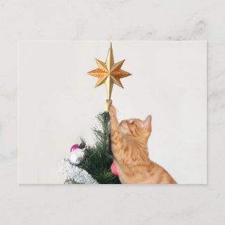 Naughty Oranje kerstmis Feestdagenkaart