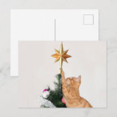 Naughty Oranje kerstmis Feestdagenkaart (Voorkant / Achterkant)