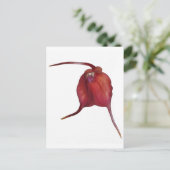 Naughty orchid briefkaart (Staand voorkant)