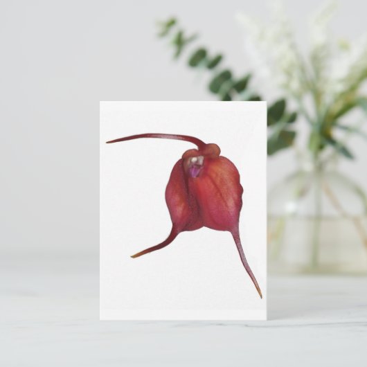 Naughty orchid briefkaart (Staand voorkant)