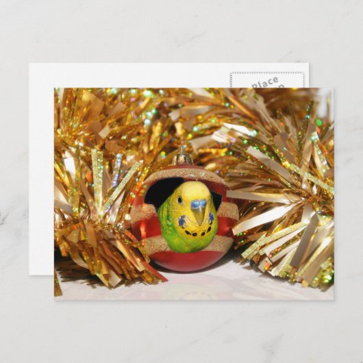 Naughty paraket Kerstmis Feestdagenkaart (Voorkant / Achterkant)