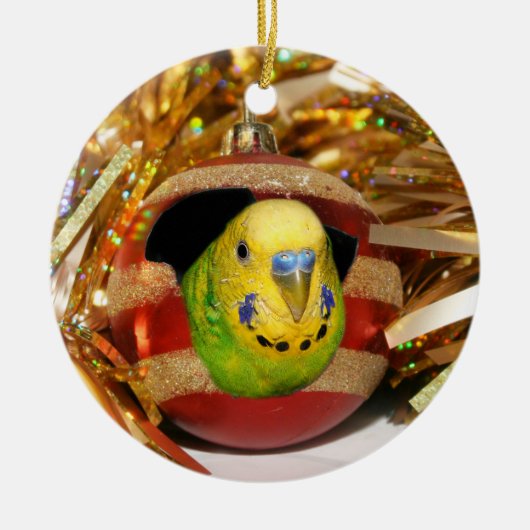 Naughty paraket Kerstmis Keramisch Ornament (Voorkant)