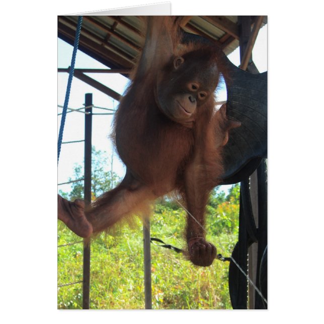 Naughty Primate Potty Break (Voorkant)