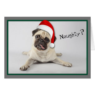 Naughty Santa Hat Pug Dog Kerstmis