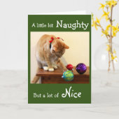 Naughty Sinaasappel Tabby met kerstversiering Kaart (Gele Bloem)