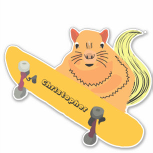 Naughty Squirrel #125 Skateboarden Sticker