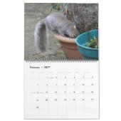 Naughty Squirrels 2014 Kalender (Feb 2027)