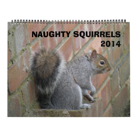 Naughty Squirrels 2014 Kalender (Hoes)