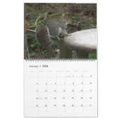 Naughty Squirrels 2014 Kalender (Jan 2026)