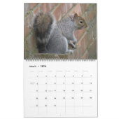 Naughty Squirrels 2015 Agenda Kalender (Mar 2026)