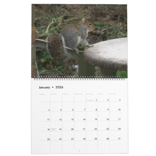 Naughty Squirrels aangepaste kalender (Jan 2026)