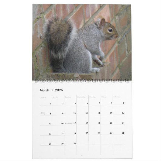 Naughty Squirrels aangepaste kalender (Mar 2026)