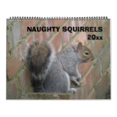 Naughty Squirrels aangepaste kalender (Hoes)