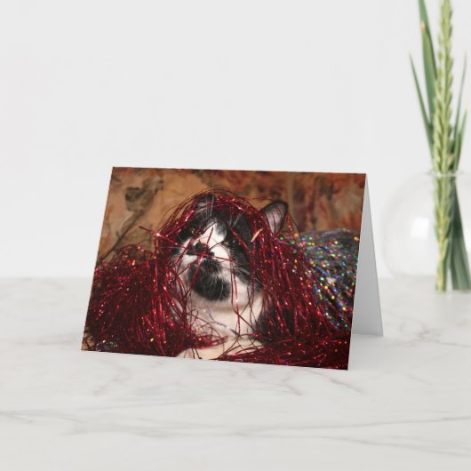 Naughty tuxedo kat Kerstmis Feestdagen Kaart (Voorkant)