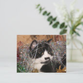 Naughty tuxedo kat Kerstmis Feestdagenkaart (Staand voorkant)