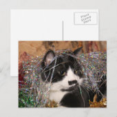 Naughty tuxedo kat Kerstmis Feestdagenkaart (Voorkant / Achterkant)