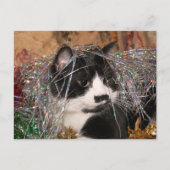 Naughty tuxedo kat Kerstmis Feestdagenkaart (Voorkant)