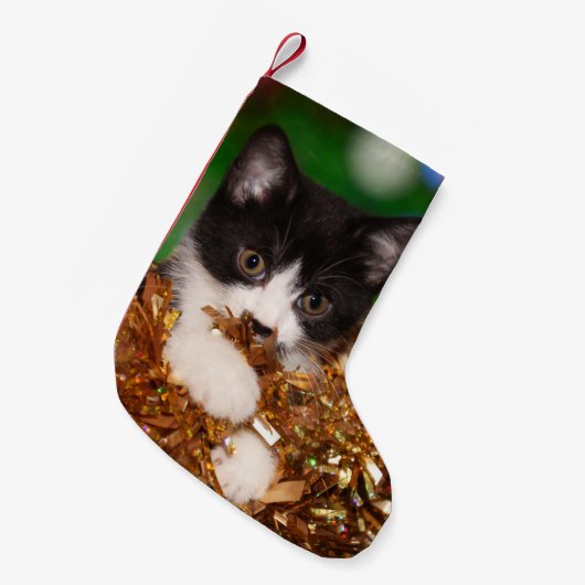 Naughty tuxedo kat Kerstmis Kleine Kerstsok (Voorkant (Hangend))