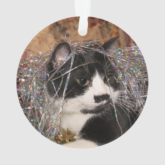 Naughty tuxedo kat Kerstmis Ornament (achterkant)