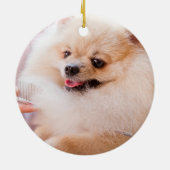 Naughty Waterverf Pomeranian Dog Photo Memory Keramisch Ornament (Achterkant)