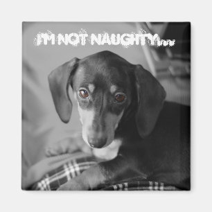 Naughty weiner magneet